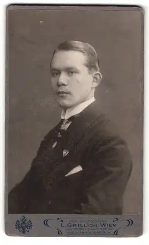 Fotografie L. Grillich, Wien, Portrait charmanter Herr im Anzug mit Krawatte