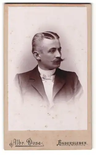 Fotografie Albr. Dose, Hadersleben, Portrait Mann im Halbprofil