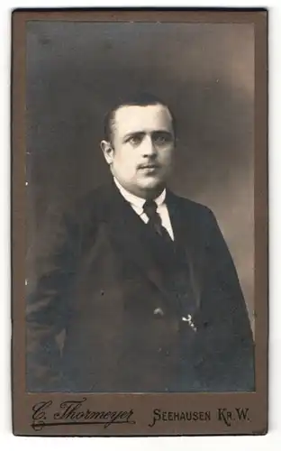 Fotografie C. Thormeyer, Seehausen, Portrait stattlicher Herr im Anzug mit Krawatte