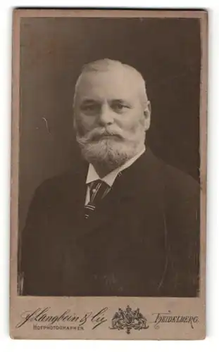 Fotografie F. Langbein & Cie, Heidelberg, Portrait älterer Herr im Anzug mit Krawatte und Vollbart