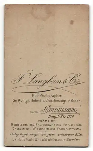 Fotografie F. Langbein & Cie, Heidelberg, Portrait älterer Herr im Anzug mit Krawatte und Vollbart