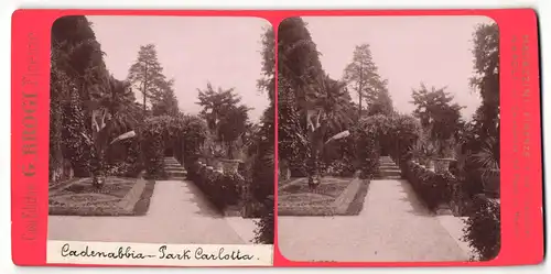 Stereo-Fotografie G. Brogi, Firenze, Ansicht Cadenabbia, Park Carlotta