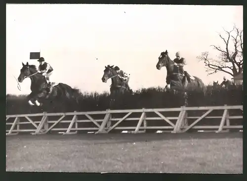 Fotografie Ansicht Berlin-Karlshorst, Hindernis-Pferderennen, Peloponnes siegt beim Egerland-Jagdrennen 1938