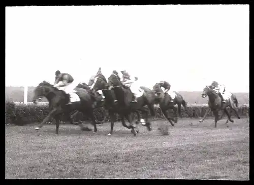 Fotografie Ansicht Hoppegarten, Henckel-Rennen, Rennpferde im Galopp 1939