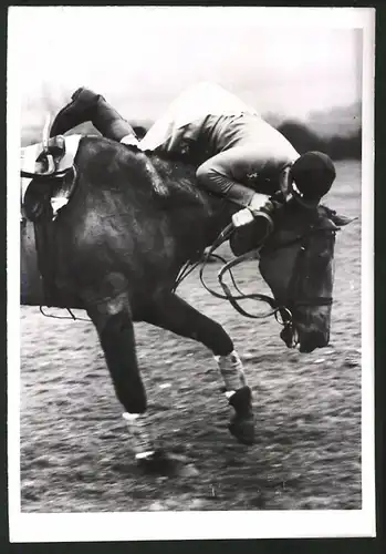 Fotografie Fotograf unbekannt, Ansicht Whaddon, Pferde-Jagdrennen 1939, Jocey Norris Bazzard stürzt