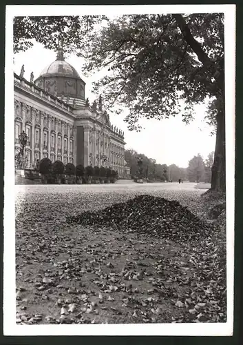 Fotografie Fotograf unbekannt, Ansicht Potsdam, der Herbst hält Einzug am Stadtschloss 1939