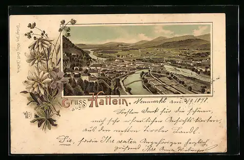 Lithographie Hallein, Gesamtansicht aus der Vogelschau