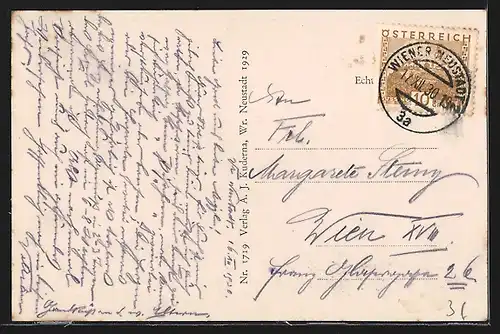 AK Wiener Neustadt, Ortsansicht mit Kirche