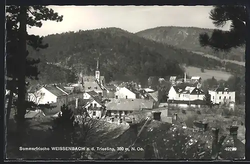 AK Weissenbach a.d. Triesting, Ortsansicht mit Wald