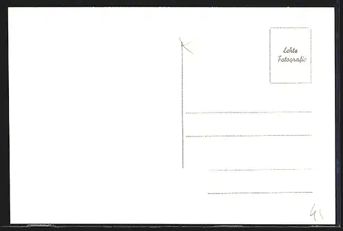 AK St. Pölten, Ortsansicht mit Kirchen