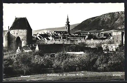 AK Hainburg a.d. Donau, Teilansicht, Wienertor