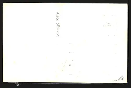 AK Freiland, Panoramaansicht