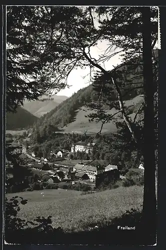 AK Freiland, Gesamtansicht aus der Vogelschau