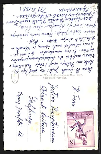 AK Rohr im Gebirge, Panoramaansicht mit der Sommerfrische