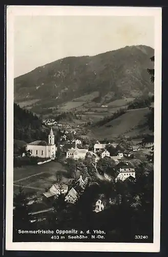 AK Opponitz, Blick über den Ort mit der Pfarrkirche vom Hang aus