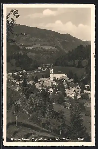 AK Opponitz an der Ybbs, Ortsansicht mit Kirche