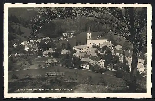 AK Opponitz an der Ybbs, Ortsansicht mit Kirche