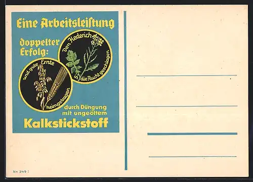 AK Reklame für Kalkstickstoff