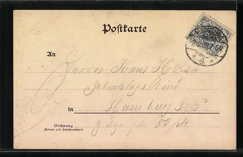 AK Hamburg-Neustadt, Zeughausmarkt mit Strassenbahnen