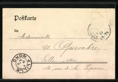 AK Ludwigshafen, Strassenbahn auf der Rheinbrücke