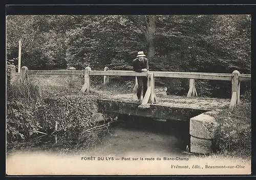 AK Foret du Lys, Pont sur la route du Blanc-Champ