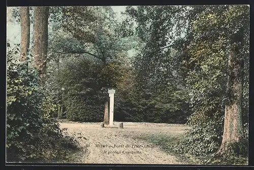 AK Meriel, Foret de l`Isle-Adam, le poteau Capitaine