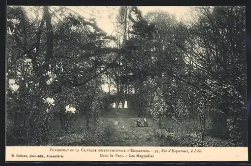 AK Lille, Pensionnat de la Clinique Departementale d`Esquermes, 93, Rue d`Esquermes, Dans le Parc, Les Magnolias