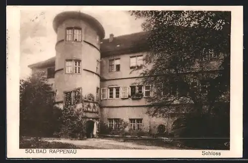 AK Rappenau, Schloss