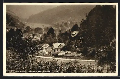 AK Herrenalb, Landhaus Schatthalden