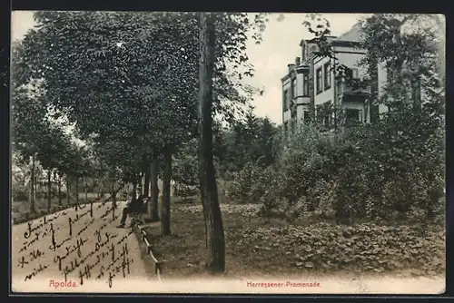 AK Apolda, Herressener-Promenade lädt zum Ausruhen ein