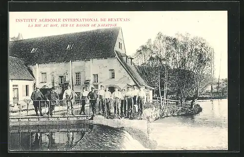 AK Beauvais, Institut Agricole International, la Mie au Roy, sur le Bassin de Natation