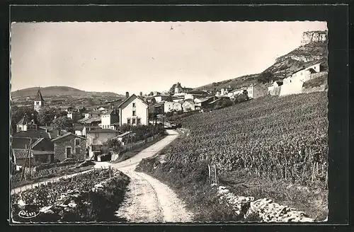 AK Solutré-Pouilly, Ses Vignobles