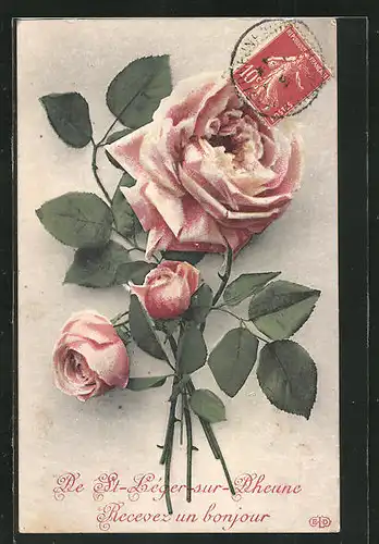 AK St-Leger-sur-Dheune, Rose mit Dornen