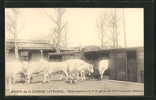 AK Villefranche, Boeufs de la Carnine Lefrancq, Deparquement a la gare