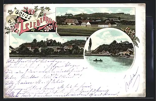 Lithographie Liebenburg / Harz, Teilansicht mit Schloss