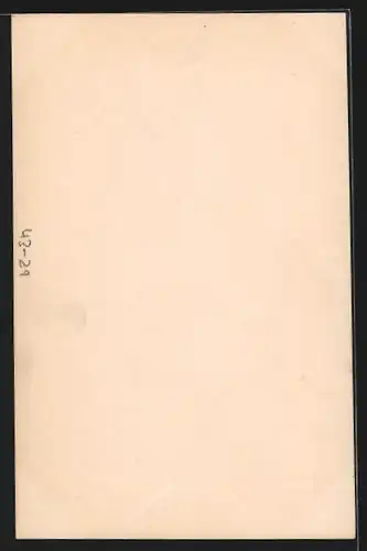 Zeitungs-AK Frau mit Kleid in einem Zeitungsausschnitt, La Presse