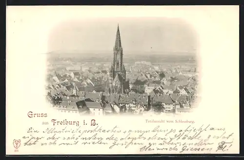 AK Freiburg i. B., Totalansicht vom Schlossberg
