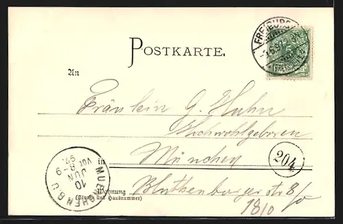 AK Freiburg i. B., Totalansicht vom Schlossberg