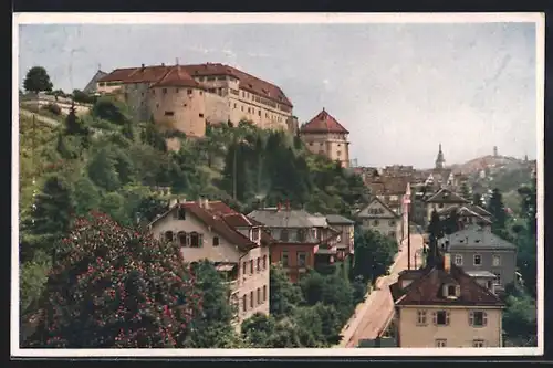 AK Tübingen, Schloss mit Neckarhalde