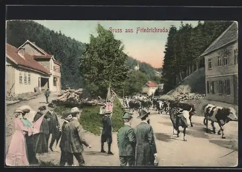AK Friedrichroda, Strassenpartie mit Kühen