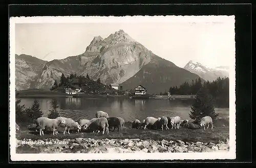 AK Gurtnellen, Herbstidyll am Arnisee