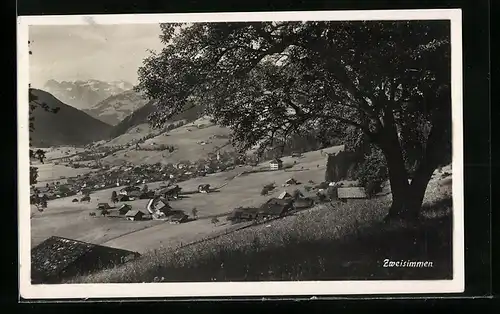 AK Zweisimmen, Gesamtansicht