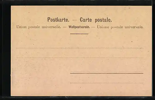 Künstler-AK Neuchatel, Vue prise de la terrasse de la Collegiale