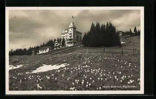 AK Rigi, Rigi-Kaltbad, Hotel Bellevue