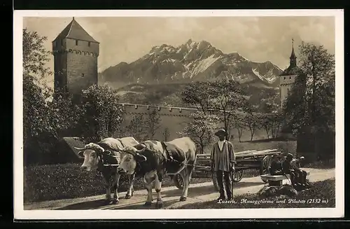 AK Luzern, Museggtürme und Pilatus