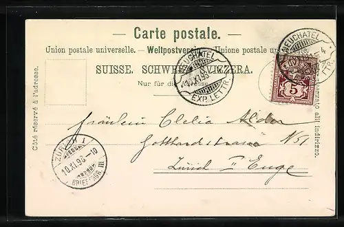 Mondschein-AK Neuchatel, Gesamtansicht