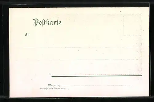 AK Neckarsteinach, Ortsansicht mit den vier Burgen