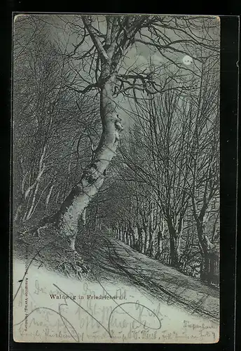 Mondschein-AK Friedrichsruh, Waldweg