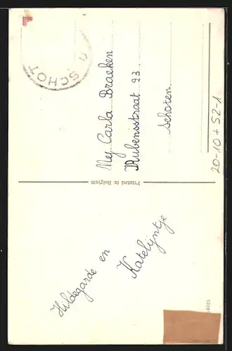 AK Zwerg springt über ein goldenes Hufeisen, Marienkäfer mit Fotoapparat