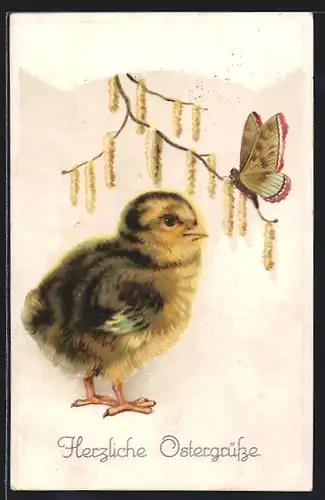 AK Osterküken schaut zu einem Schmetterling, Ostergruss
